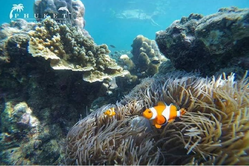 Snorkeling