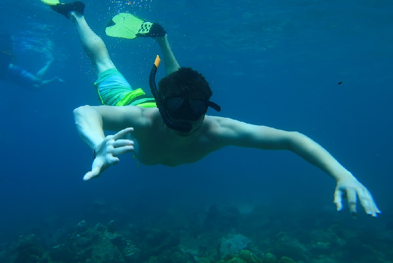 Snorkeling