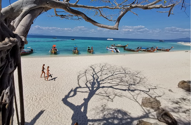 Bamboo Island