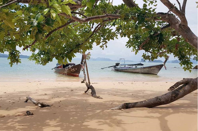 Beach Tour