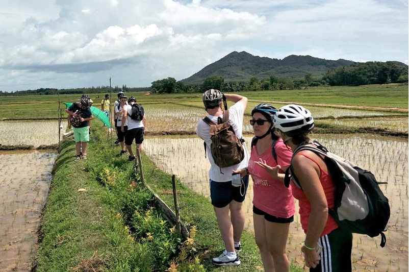 Biking