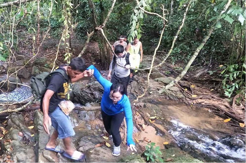 Jungle Trekking