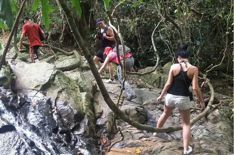 Jungle Trekking